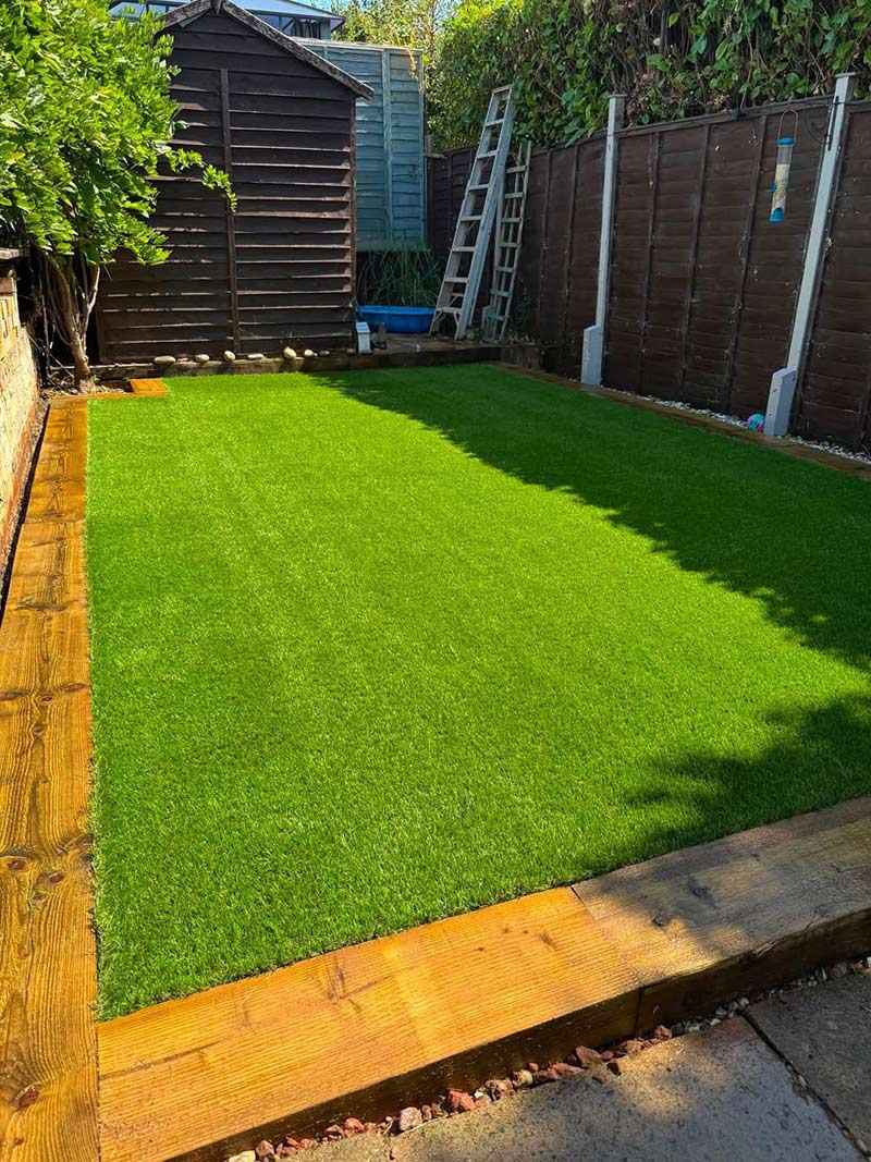Grass