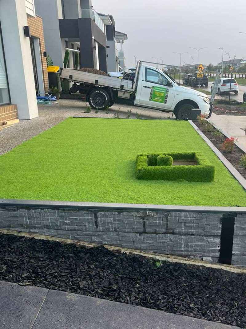 Grass