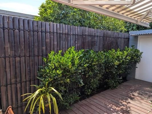 BDB01- Bamboo Fence (1M width length) (1.8m,2m,2.2m,2.4m)