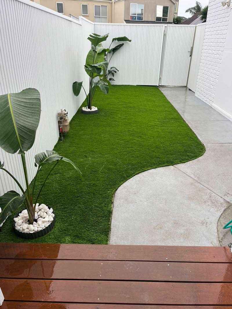 Grass