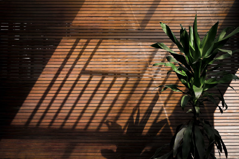 shadows-wooden-wall
