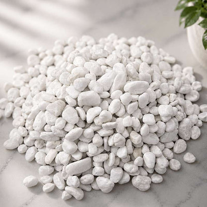BDP01 SNOW WHITE (2-3cm) - 20kg Bag