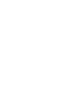 wp-theme-path