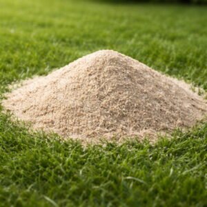 Dry Sand 20kg Bag